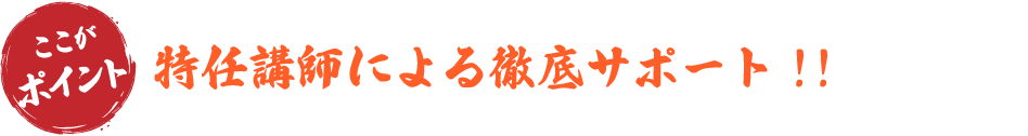 特任講師による徹底サポート!