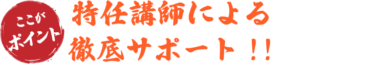 特任講師による徹底サポート!